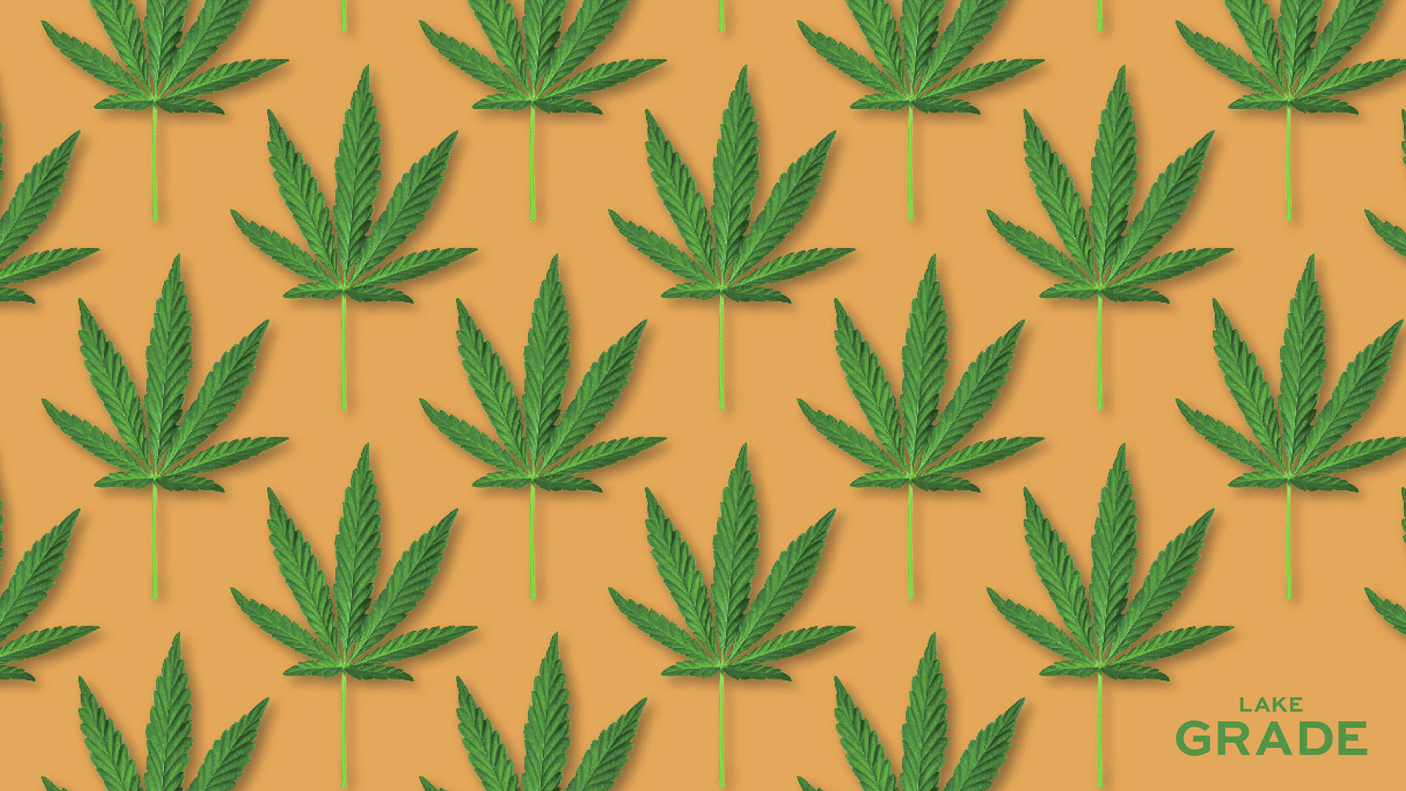 marijuana 420 wallpaper